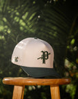 Pacific P Initial MwarMwar